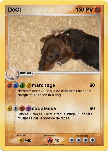 Pokemon DoGi