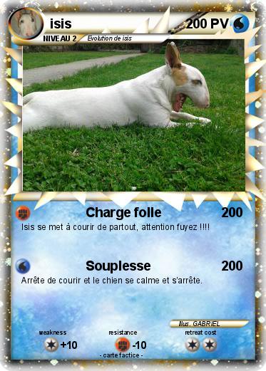 Pokemon isis