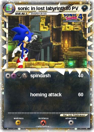 Pokemon sonic in lost labyrinth