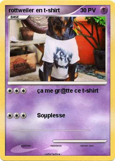Pokemon rottweiler en t-shirt