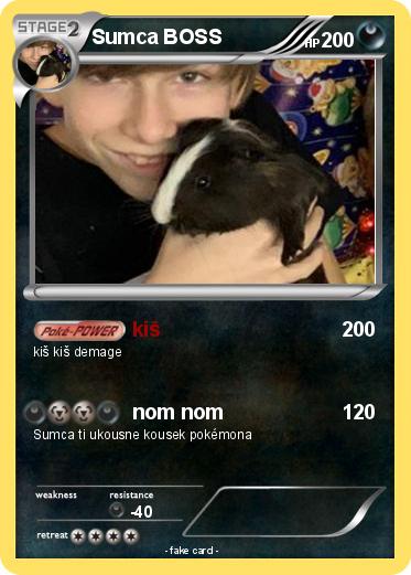 Pokemon Sumca BOSS