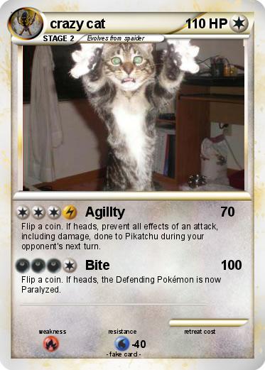 Pokemon crazy cat