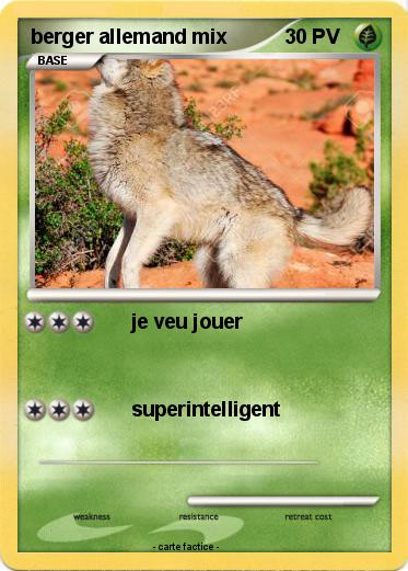 Pokemon berger allemand mix