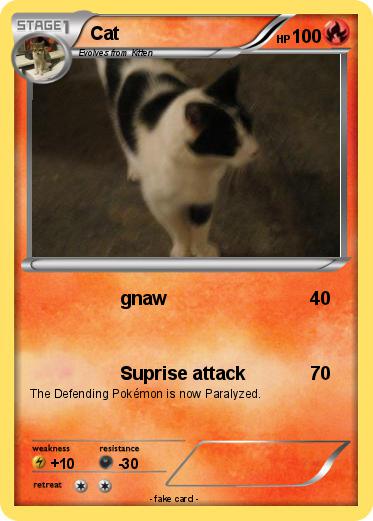 Pokemon Cat