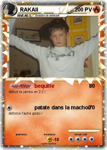 Pokemon RAKAII