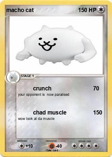 Pokemon macho cat