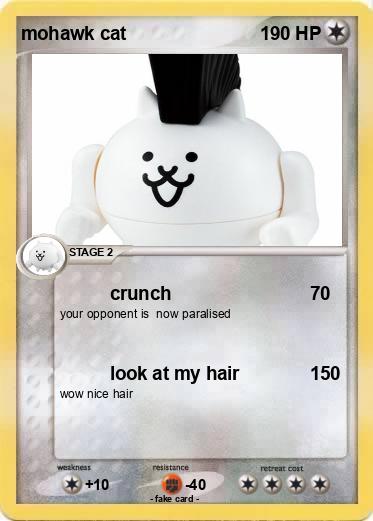 Pokemon mohawk cat