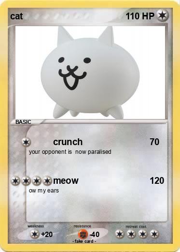 Pokemon cat