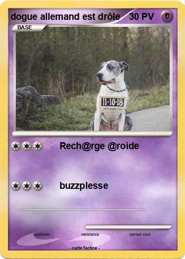 Pokemon dogue allemand est drôle