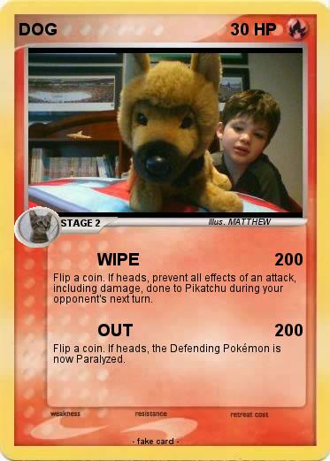 Pokemon DOG