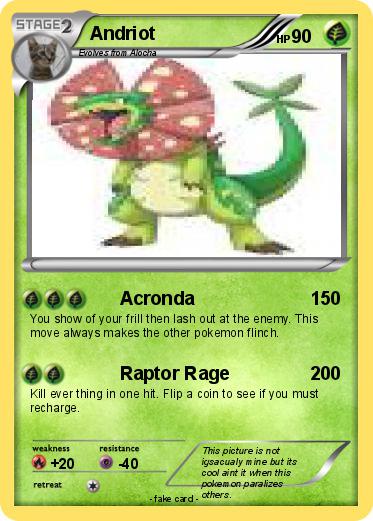 Pokemon Andriot