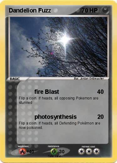 Pokemon Dandelion Fuzz