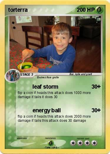 Pokemon torterra
