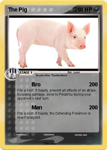 Pokemon The Pig