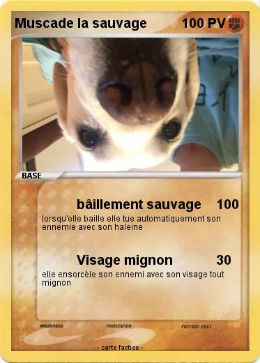 Pokemon Muscade la sauvage