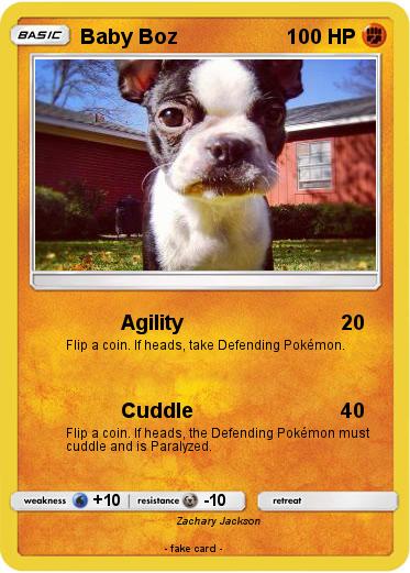 Pokemon Baby Boz