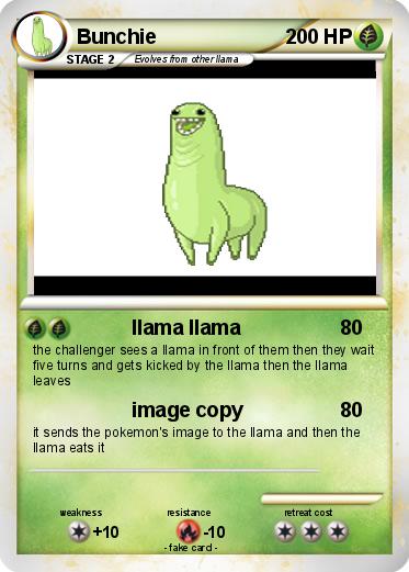 Pokemon Bunchie
