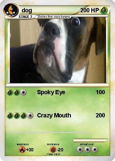Pokemon dog