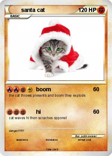 Pokemon santa cat