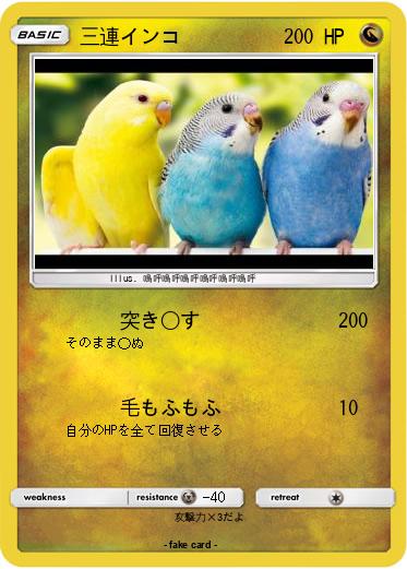 Pokemon 三連インコ