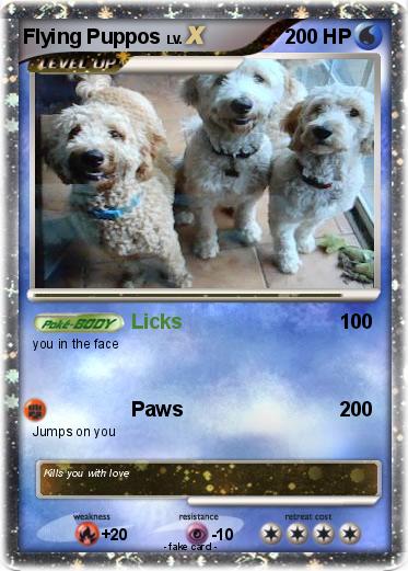 Pokemon Flying Puppos