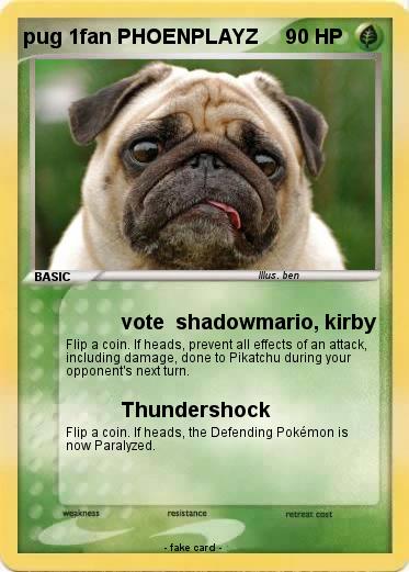 Pokemon pug 1fan PHOENPLAYZ