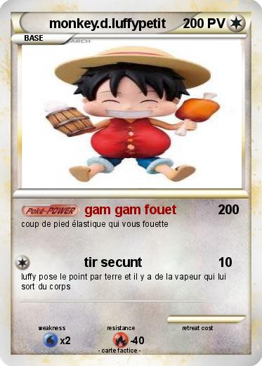 Pokemon monkey.d.luffypetit