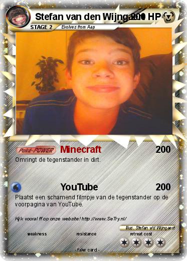 Pokemon Stefan van den Wijngaert