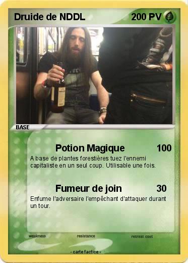 Pokemon Druide de NDDL