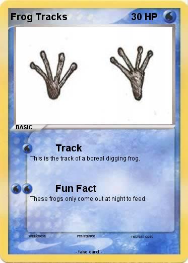 Pokemon Frog Tracks