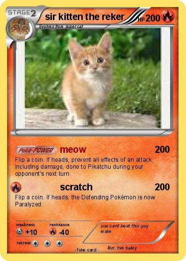 Pokemon sir kitten the reker