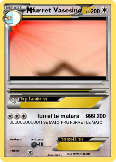 Pokemon furret Vasesino