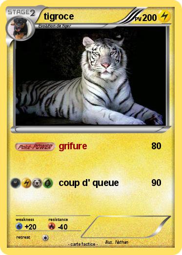 Pokemon tigroce