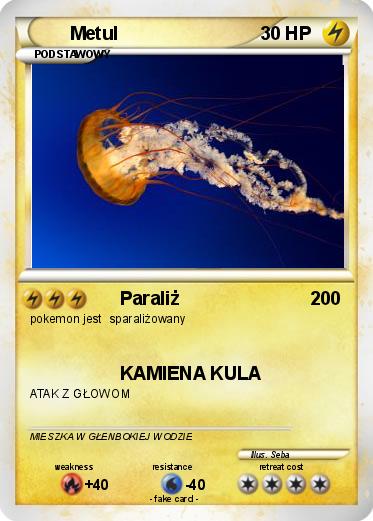 Pokemon Metul