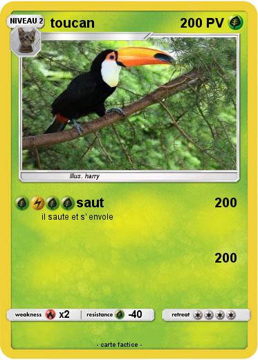 Pokemon toucan