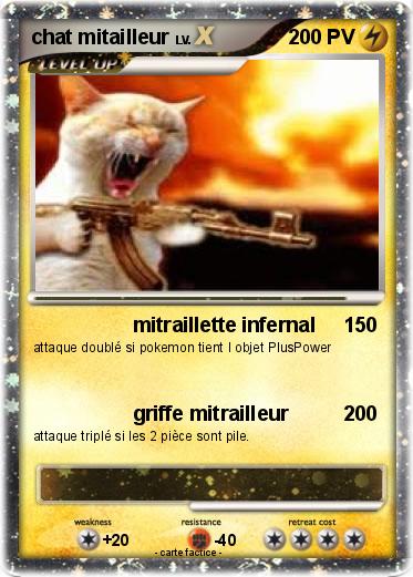 Pokemon chat mitailleur