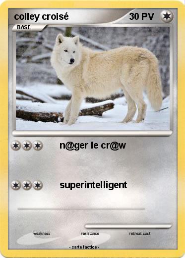 Pokemon colley croisé