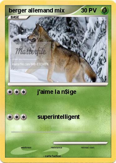 Pokemon berger allemand mix