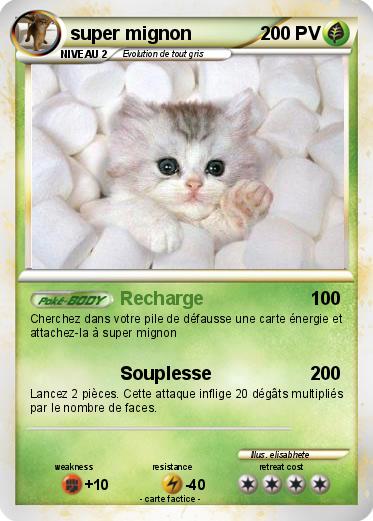Pokemon super mignon
