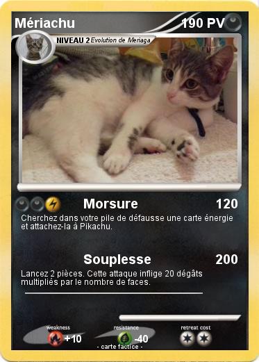Pokemon Mériachu