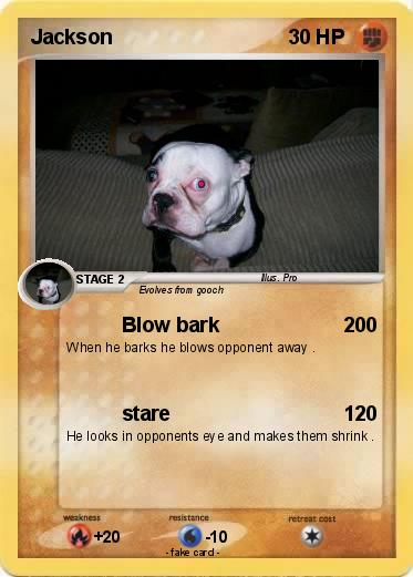 Pokemon Jackson