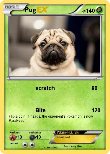 Pokemon Pug
