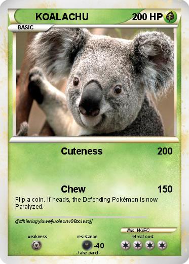 Pokemon KOALACHU
