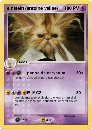 Pokemon einstein (antoine vallée)
