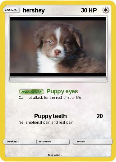 Pokemon hershey