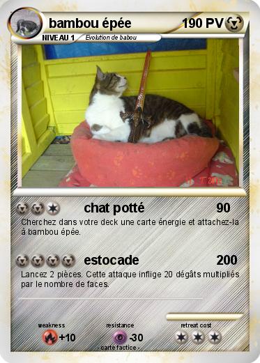 Pokemon bambou épée