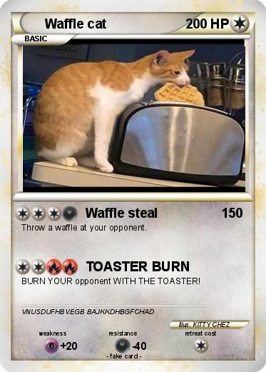 Pokemon Waffle cat