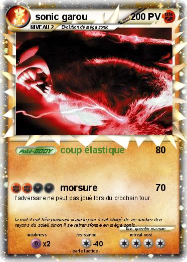 Pokemon sonic garou