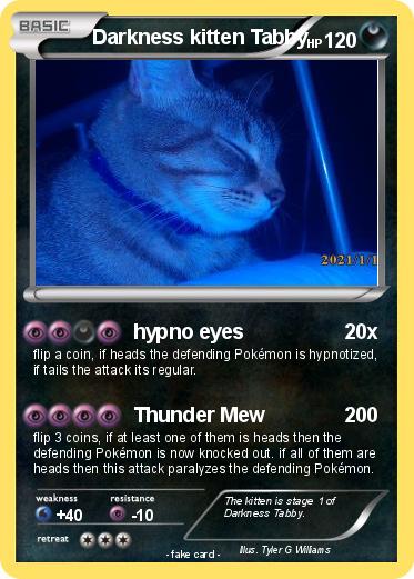 Pokemon Darkness kitten Tabby