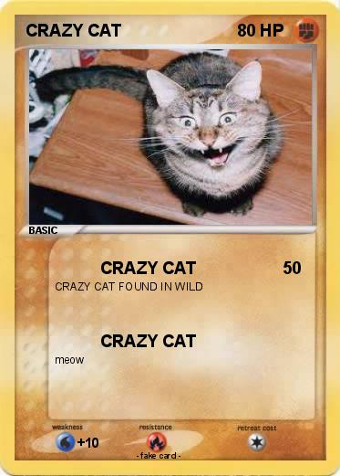 Pokemon CRAZY CAT